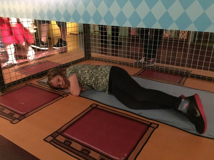 Taking shelter under the kitchen table